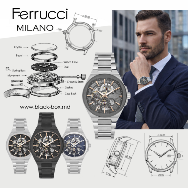 Mecanism Ferrucci 3x