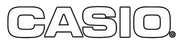 CASIO